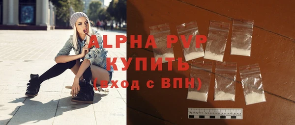 индика Богородск