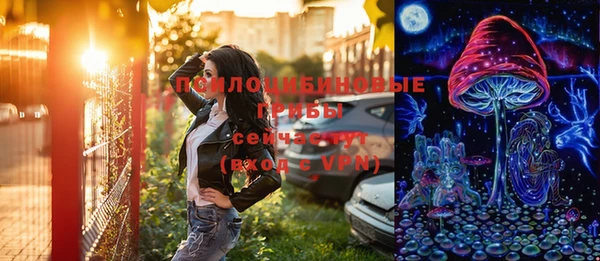 трава Арсеньев
