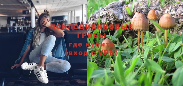 спиды Армянск