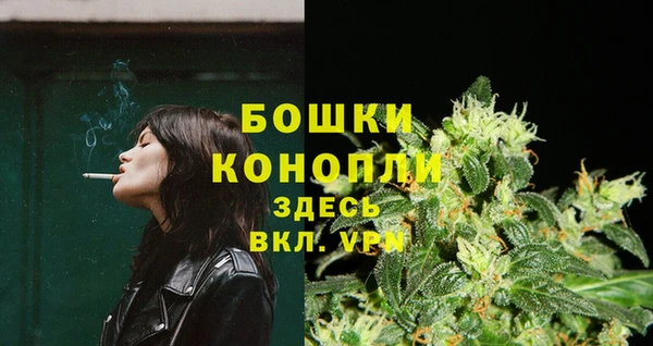 трава Арсеньев